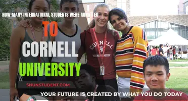 International Students at Cornell: Admissions Insights