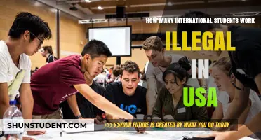 Illegal Work in the USA: International Students' Plight