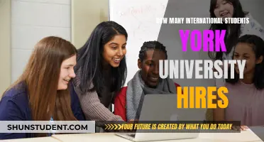 York University's International Student Recruitment Drive: Numbers Revealed