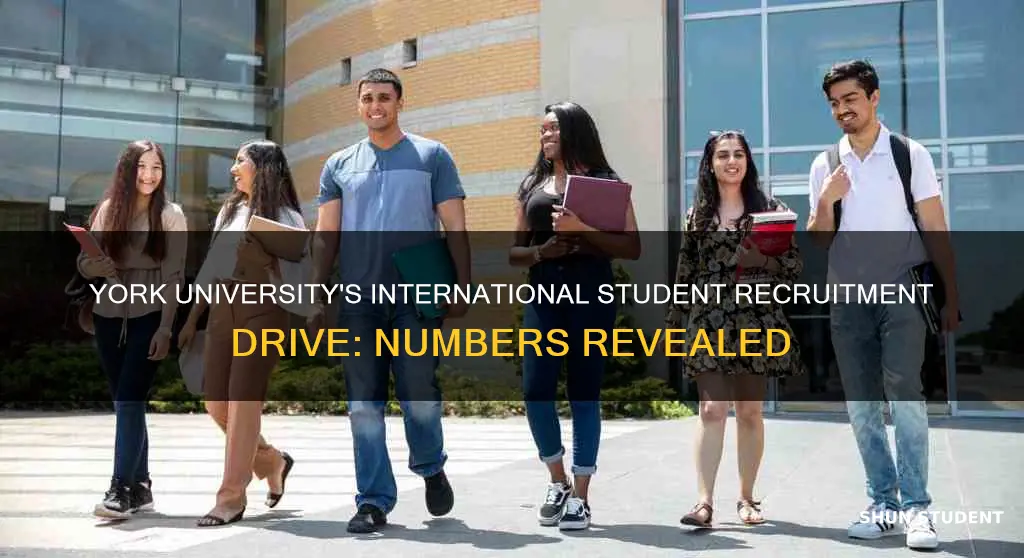 how many international students york university hires