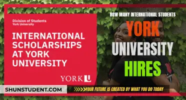 York University's International Student Hiring Initiative