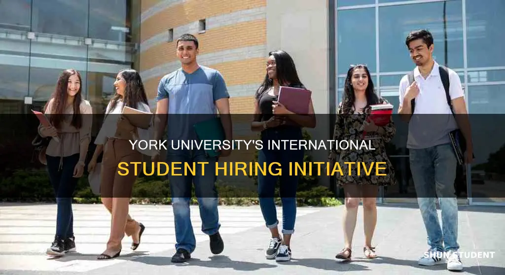 how many international students york university hires