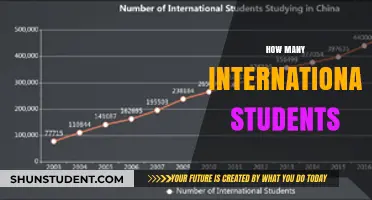 International Students: A Growing Community on Campus