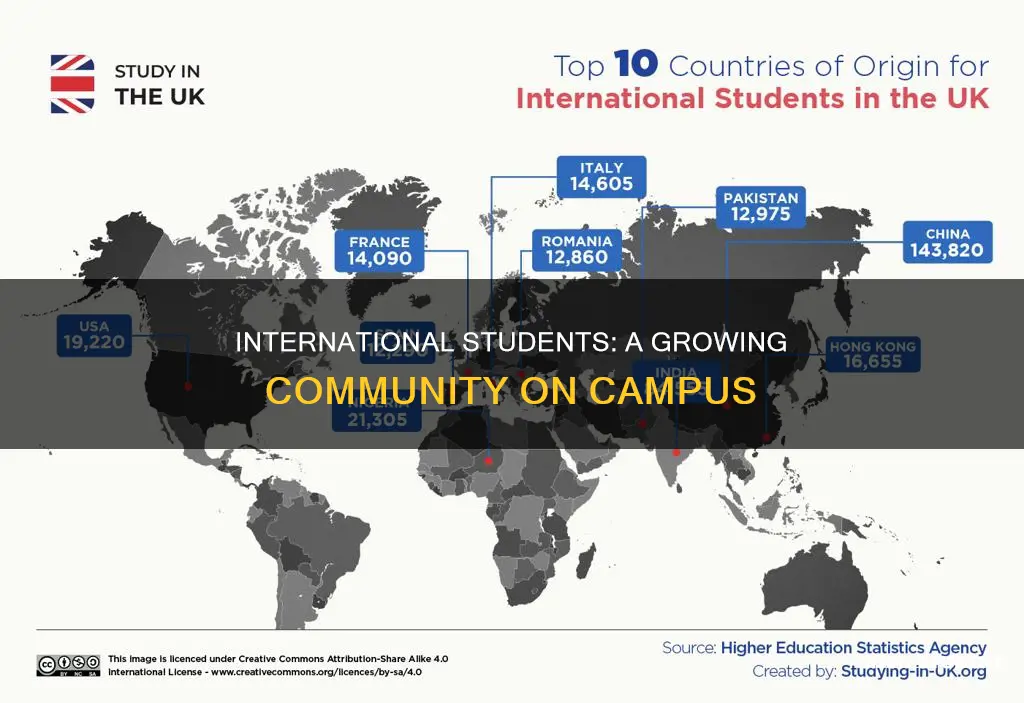 how many international students
