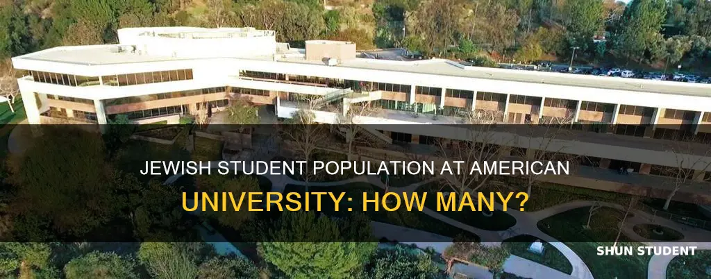 how many jewish students at american university