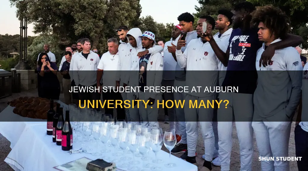 how many jewish students at auburn university