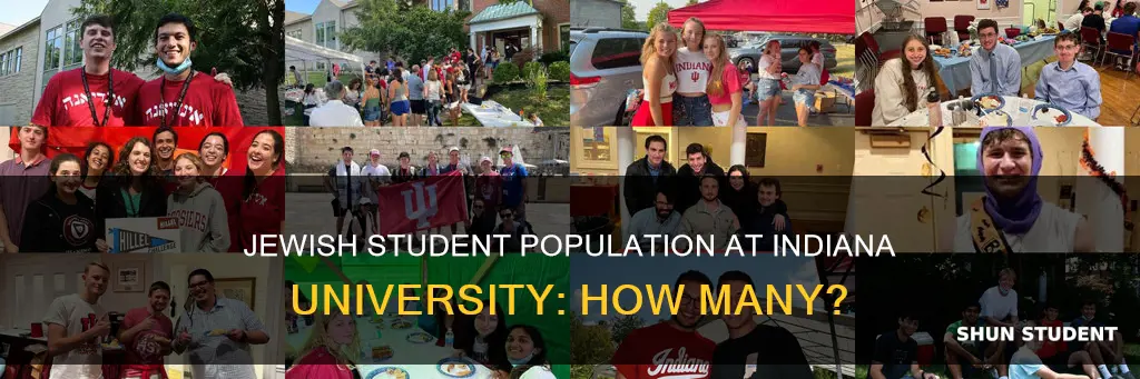 how many jewish students at indiana university