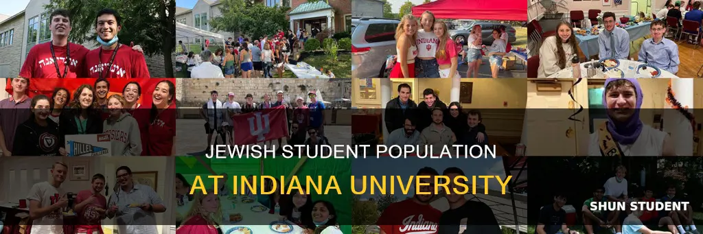 how many jewish students at indiana university