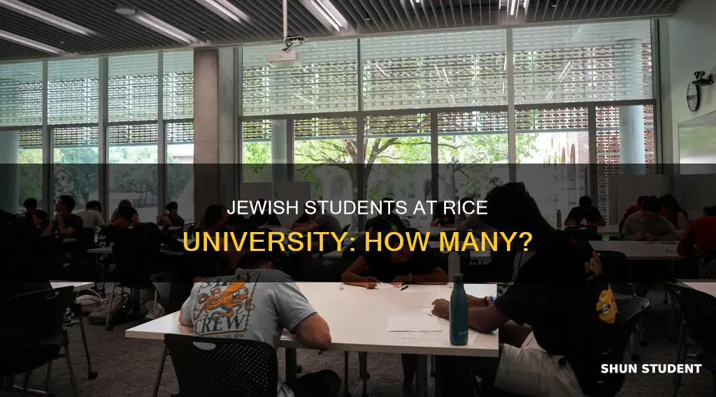 how many jewish students at rice university