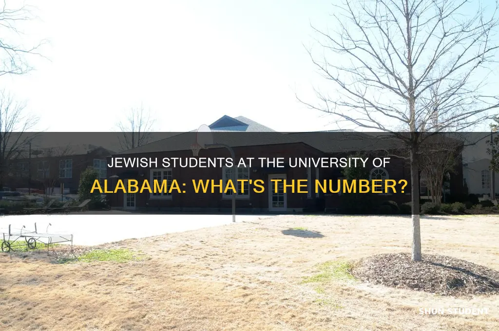 how many jewish students at university of alabama