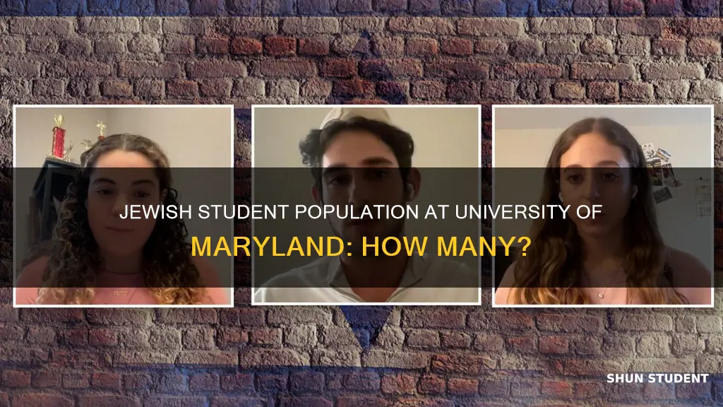 how many jewish students at university of maryland