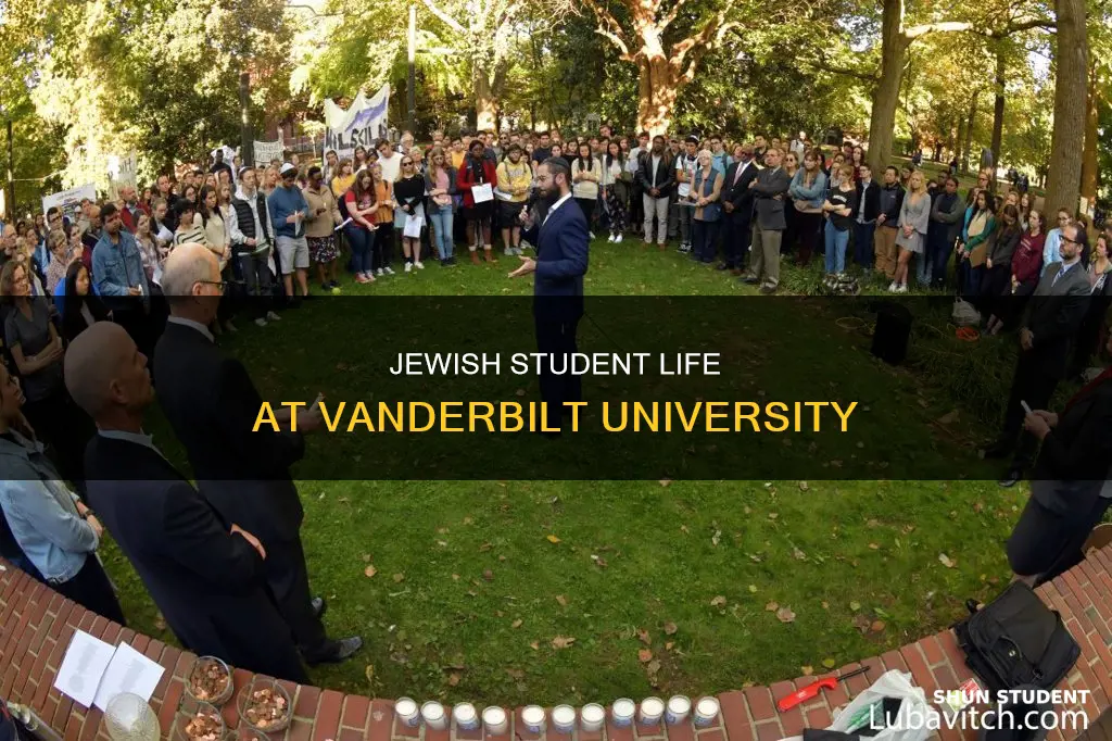 how many jewish students at vanderbilt university