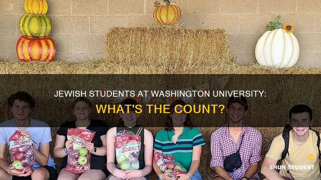 how many jewish students at washington university