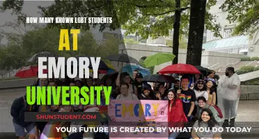 LGBTQ+ Visibility at Emory University: Counting the Community