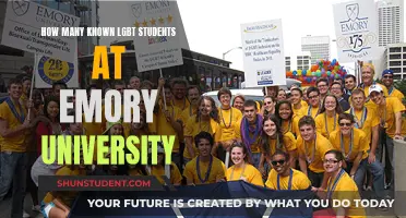 LGBTQ+ Visibility at Emory University: Counting the Community