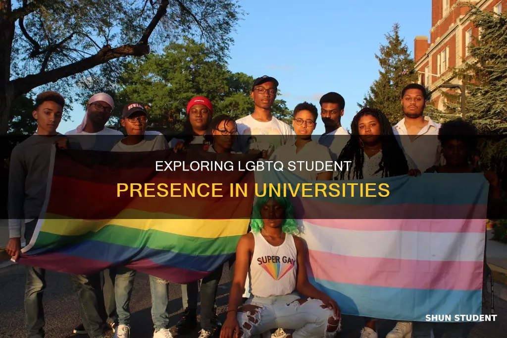 how many lgbtq students in universities