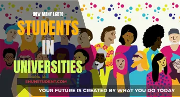 Exploring LGBTQ+ Student Representation in Universities