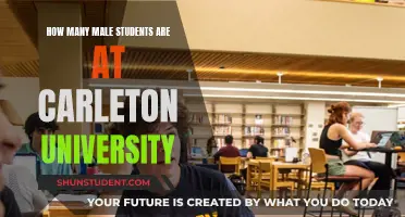 Male Students at Carleton University: What's the Count?