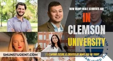 Male Students at Clemson University: Exploring the Numbers