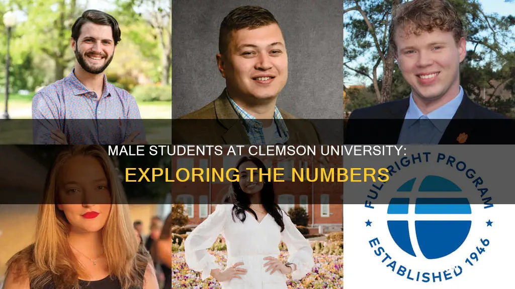 how many male students are in clemson university