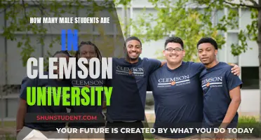Male Students at Clemson University: What's the Count?