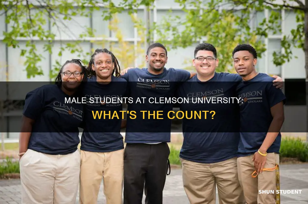 how many male students are in clemson university