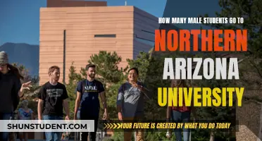 Male Student Enrollment at Northern Arizona University Explored