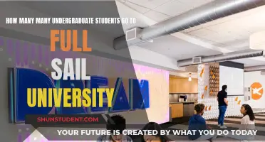 Undergraduate Enrollment Numbers at Full Sail University