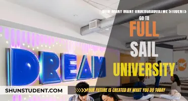 Full Sail University's Undergraduate Student Population Explored