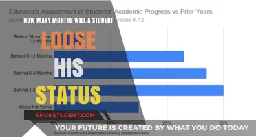 Understanding Student Status Loss: How Many Months Are at Risk?