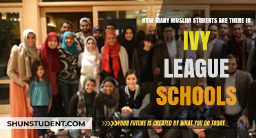 Exploring Diversity: Muslim Students' Presence in Ivy League Institutions