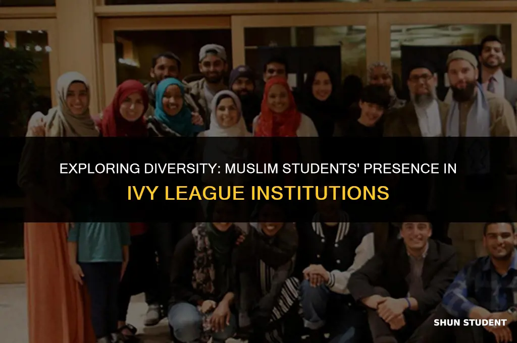 how many muslim students are there in ivy league schools