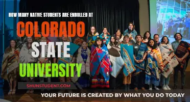 Native Student Enrollment at Colorado State University: The Numbers