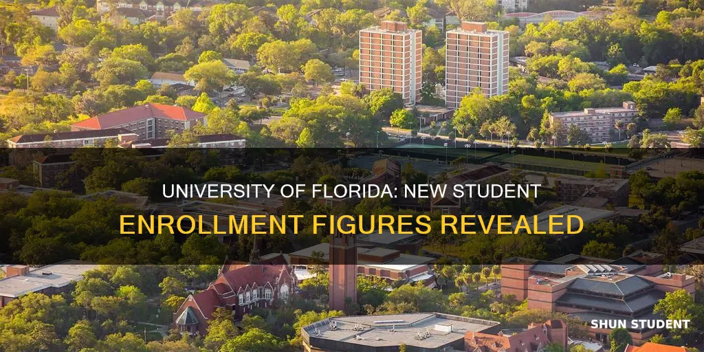 how many new students enroll in university florida