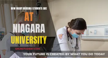 Niagara University's Nursing Program: Student Population Insights