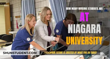 Nursing Students at Niagara University: How Many?