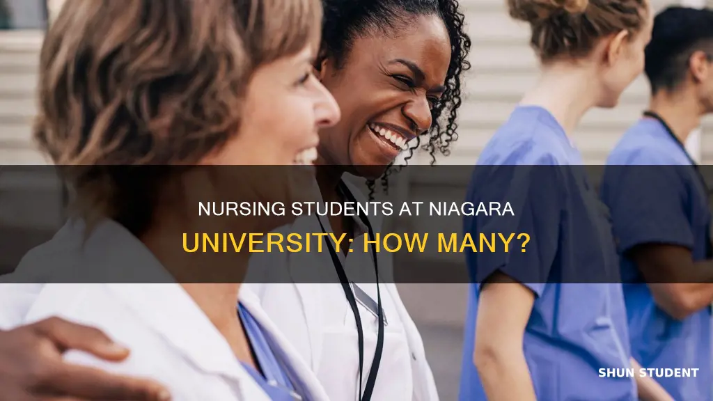how many nursing students are at niagara university