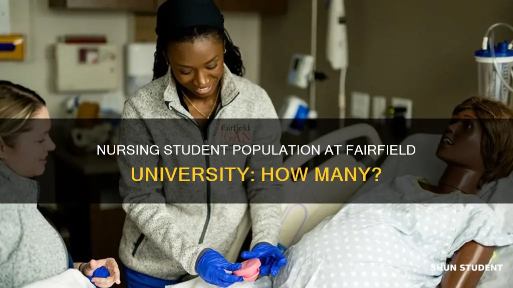 how many nursing students at fairfield university