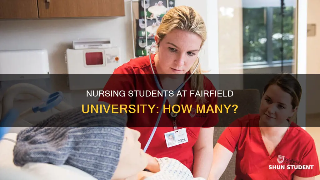 how many nursing students at fairfield university