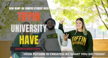 Exploring Tiffin University's On-Campus Student Population