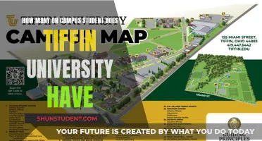 Tiffin University's On-Campus Student Population
