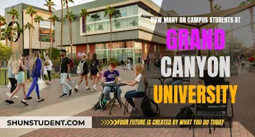 On-Campus Living at Grand Canyon University: A Thriving Community