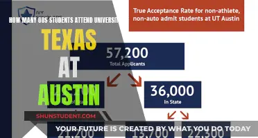 International Students Thriving at University of Texas, Austin