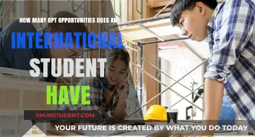 International Students: Multiple OPT Opportunities