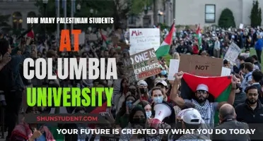 Palestinian Students at Columbia: How Many?