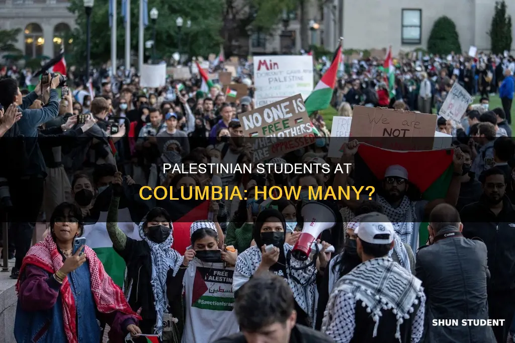 how many palestinian students at columbia university