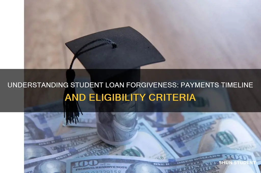 how many payments until student loans are forgiven