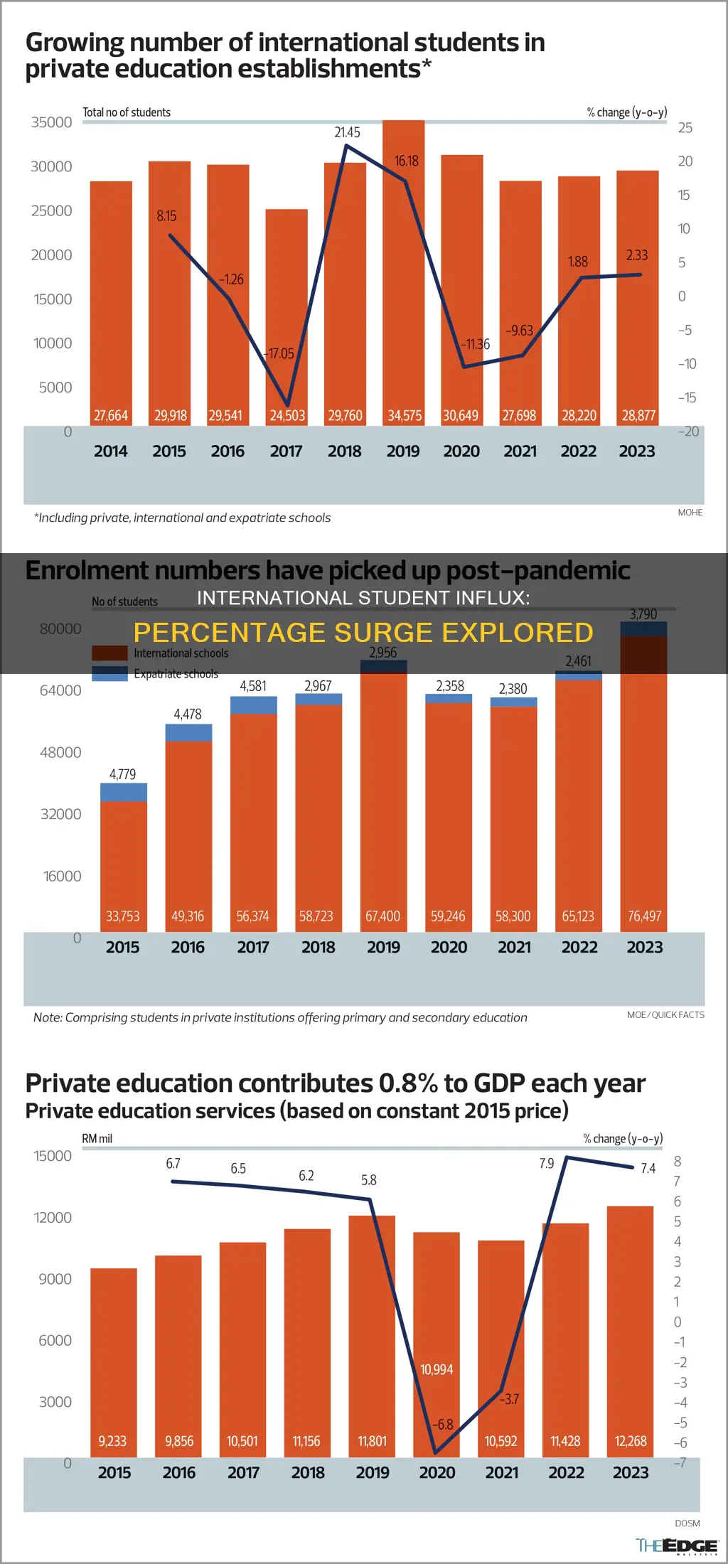 how many percentage of international student increase