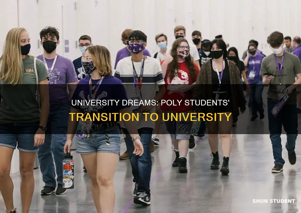 how many poly students go to university