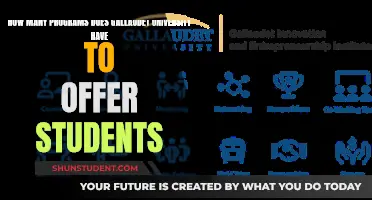 Explore Diverse Programs Offered at Gallaudet University